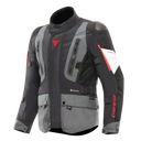 Dainese Dainese Carve Master 4 Gore-Tex Winter Jacket – rear view