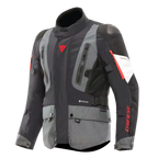 Dainese Dainese Carve Master 4 Gore-Tex Winter Jacket – rear view