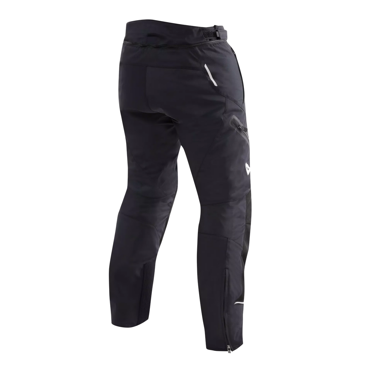 Dainese Dainese Carve Master 4 Gore-Tex Winter Pant – side view