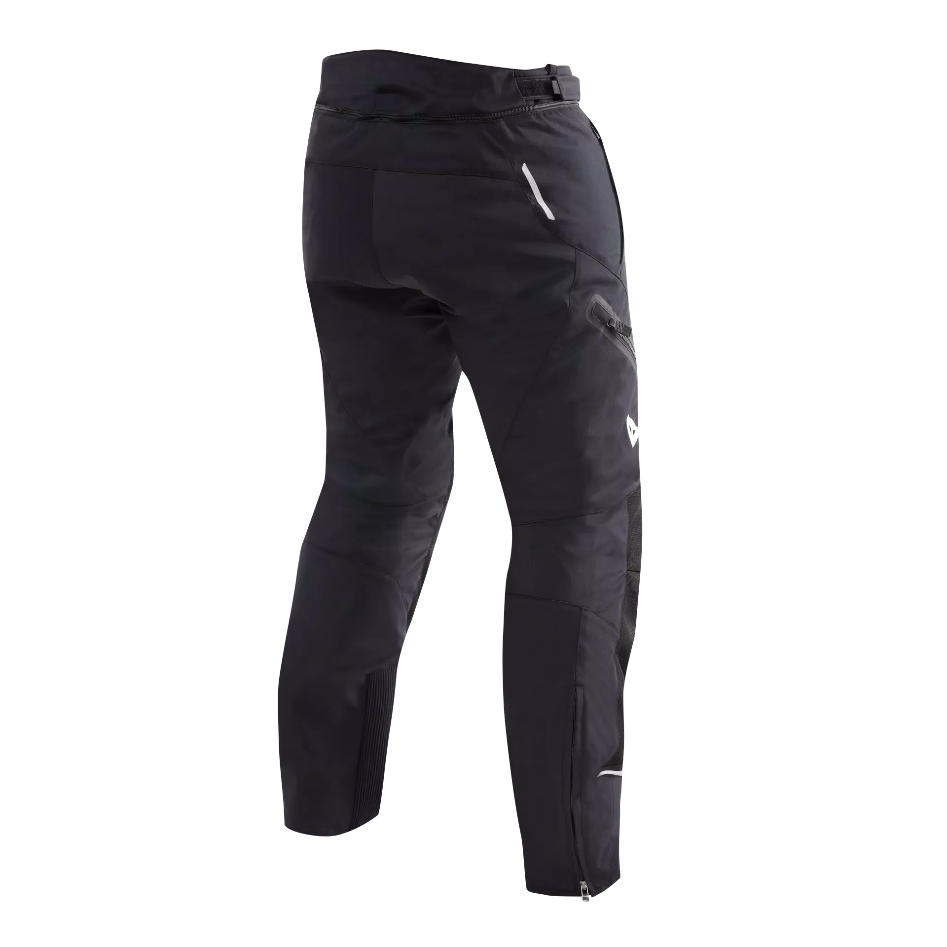 Dainese Dainese Carve Master 4 Gore-Tex Winter Pant – side view